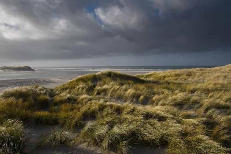 Surfer (76) overleden in zee bij Noordwijk